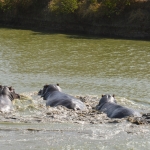 Visita al parco di Micumi